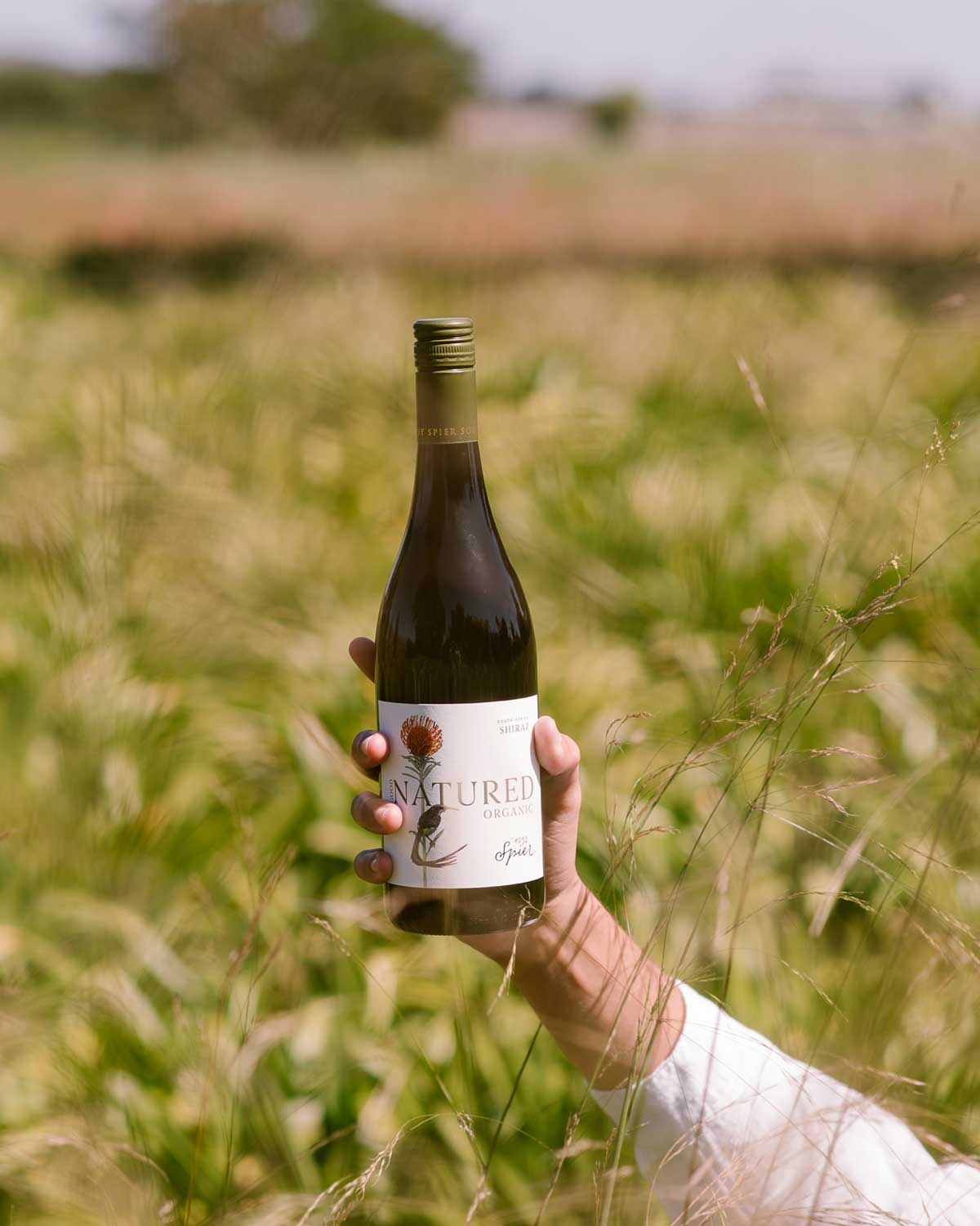 Spier Good Natured Organic Shiraz 2023