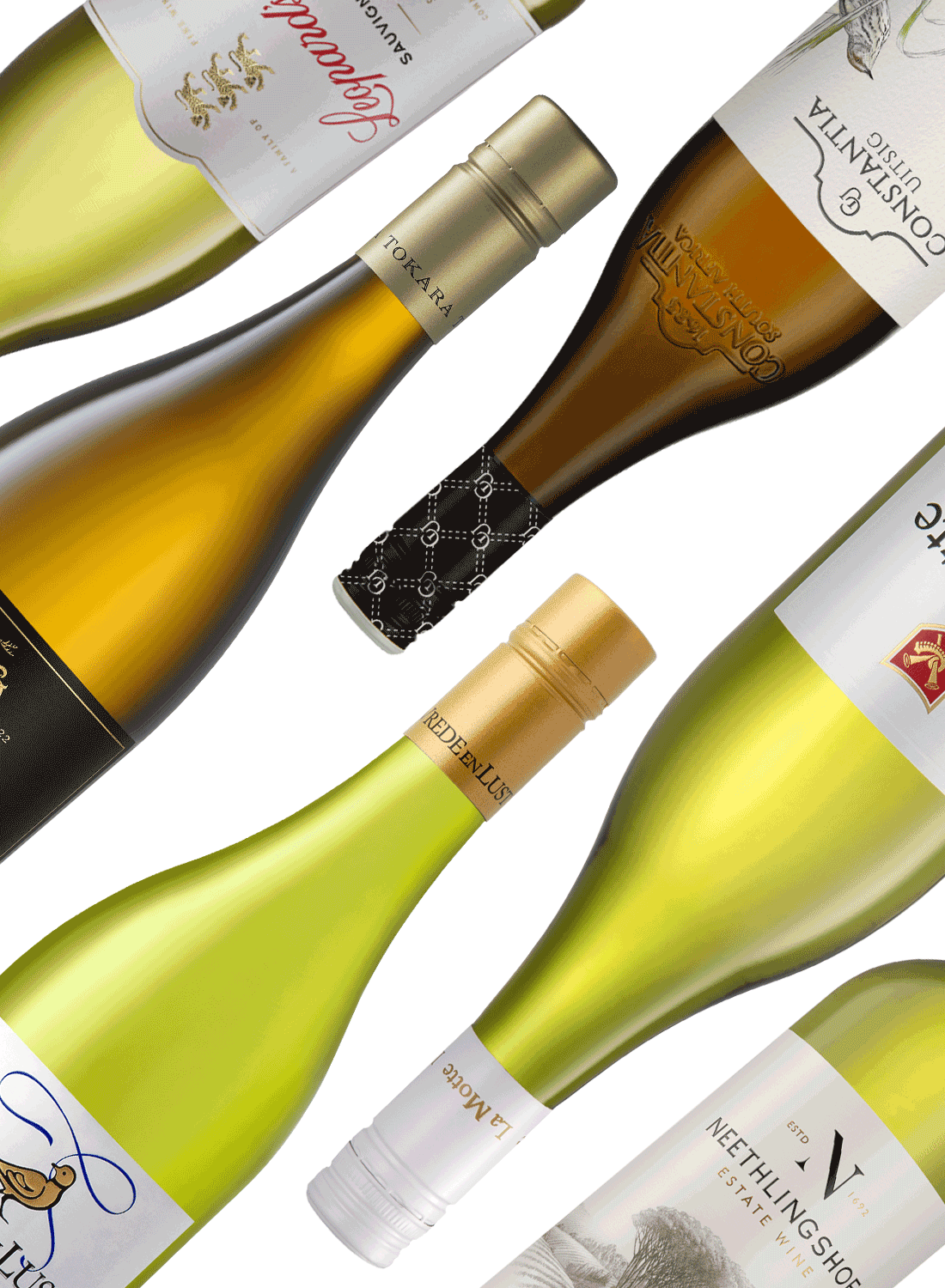 Best of Sauvignon Blanc 🍋