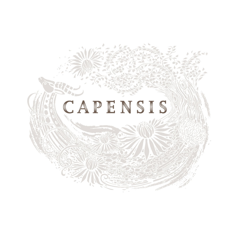 Capensis