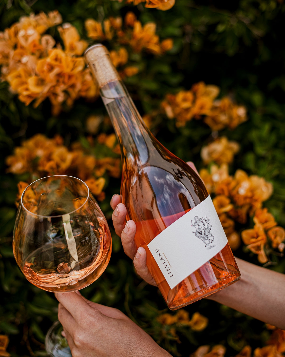 B-Ware: Lievland Liefkoos Rosé 2025
