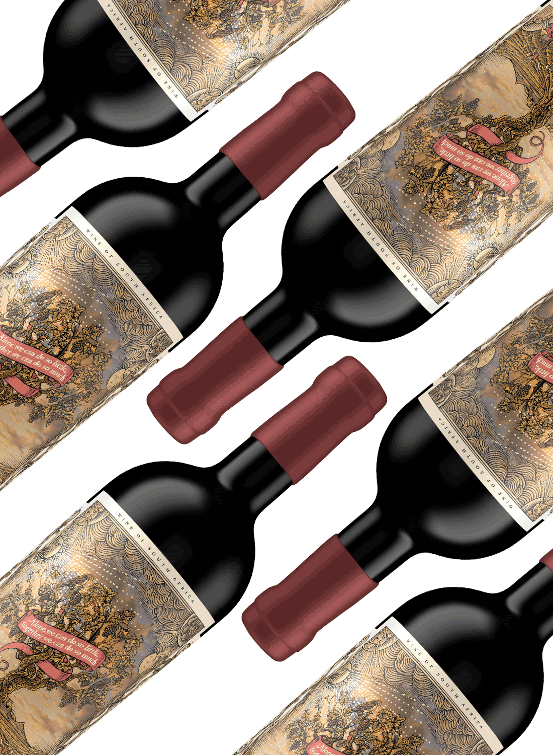 Imvini Wethu Pinotage | 12 Flaschen + Geschenkbox