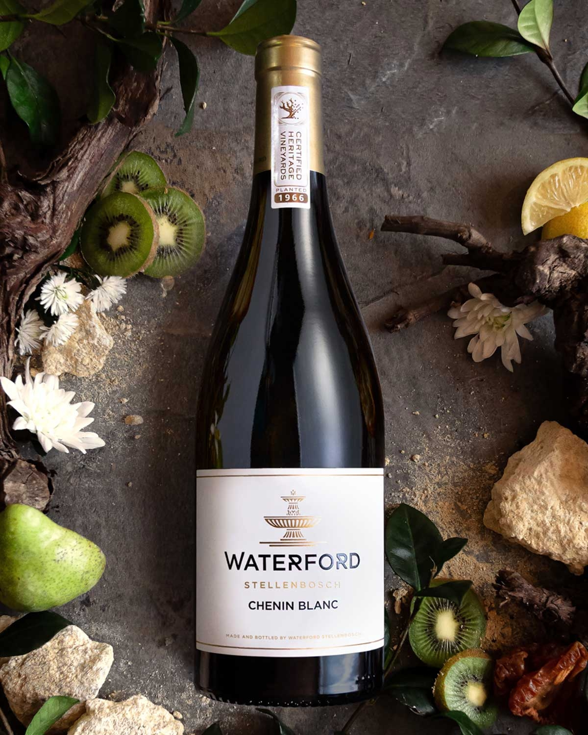 Waterford Old Vine Project Chenin Blanc 2024
