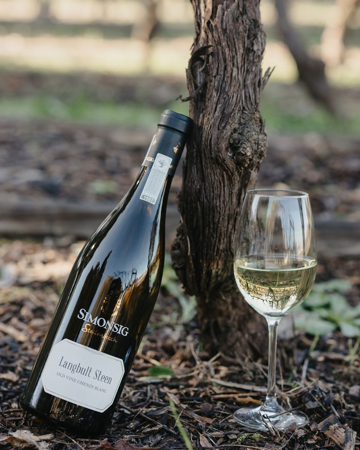 Simonsig Langbult Steen Old Vine Chenin Blanc 2024