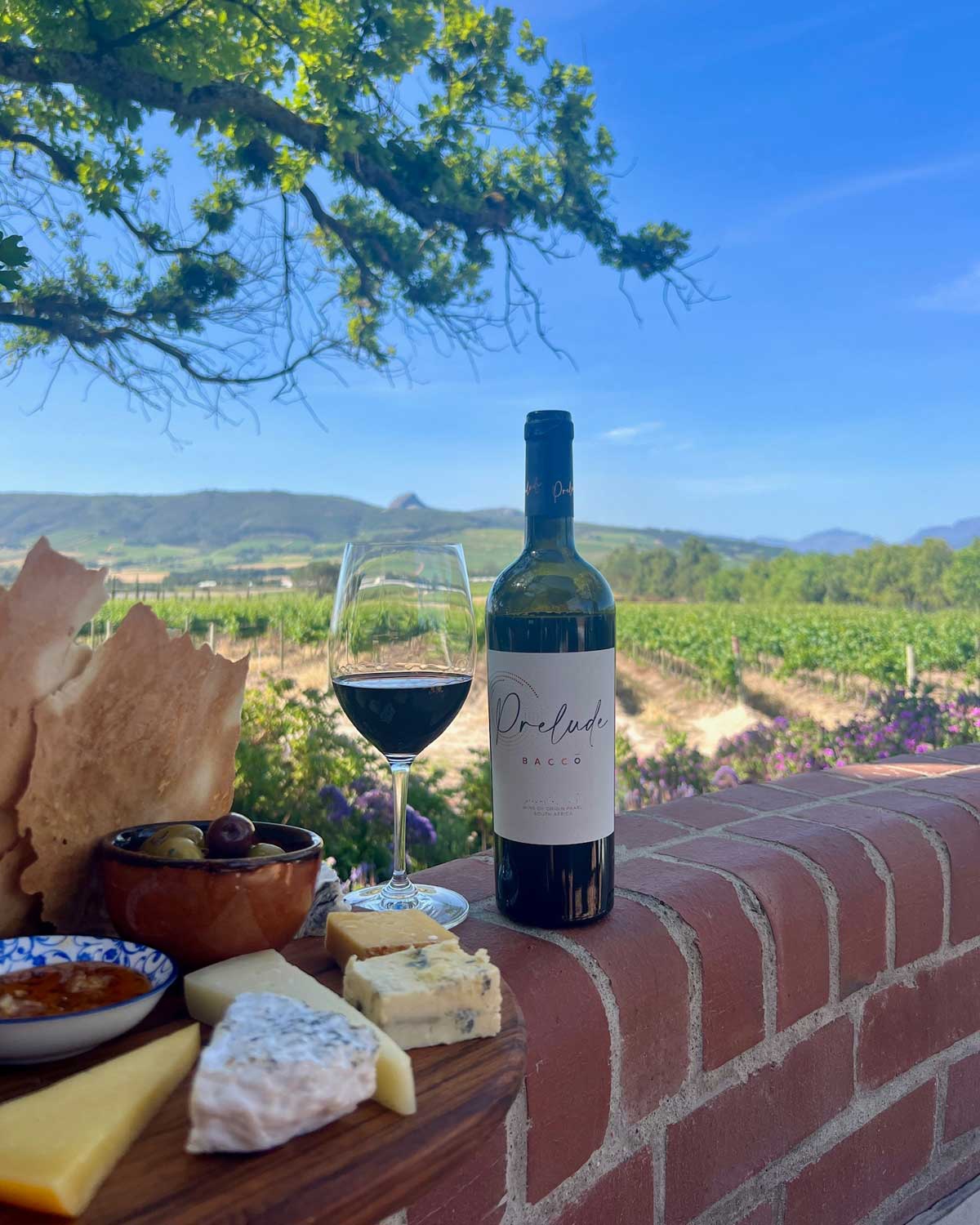 B-Ware: Bacco Prelude Red Blend 2020