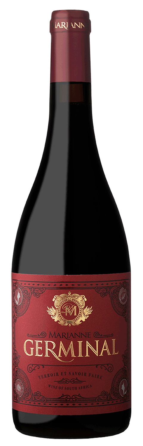 Eine Weinflasche aus dunklem Glas mit einem kastanienbraunen und goldenen Etikett mit der Aufschrift Marianne Germinal und Terroir et Savoir Faire, 2020 Cabernet, Wine of South Africa auf einem schlichten Hintergrund.