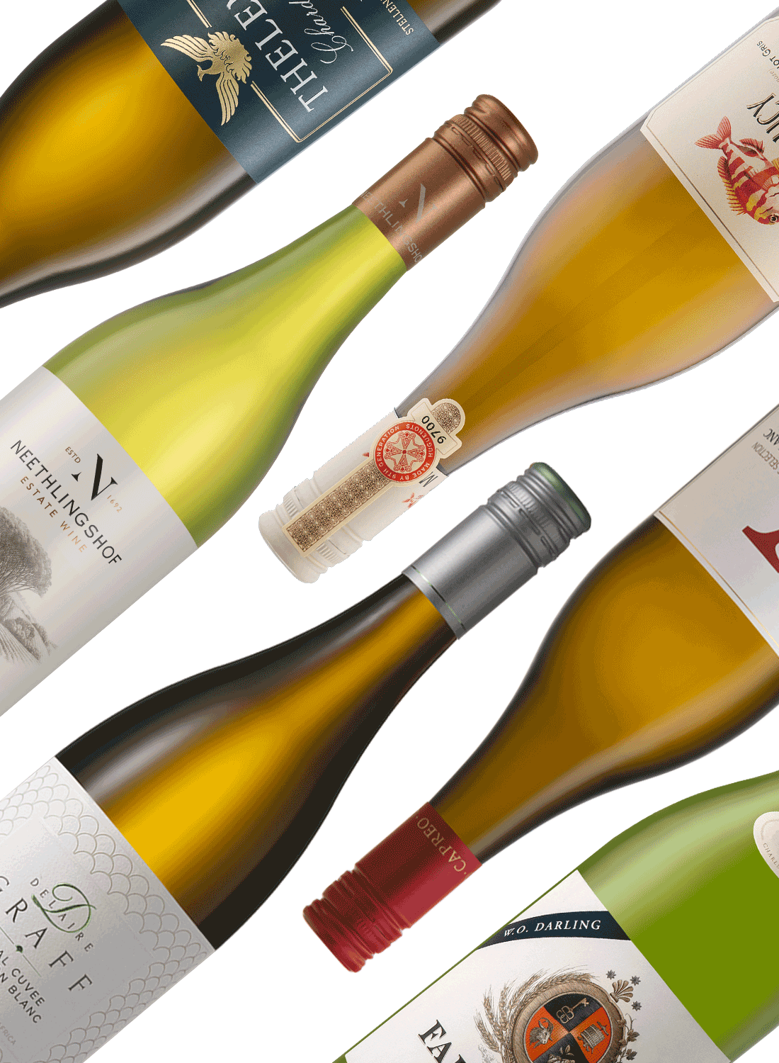 Best of Whites 🥂 Weißweinpaket