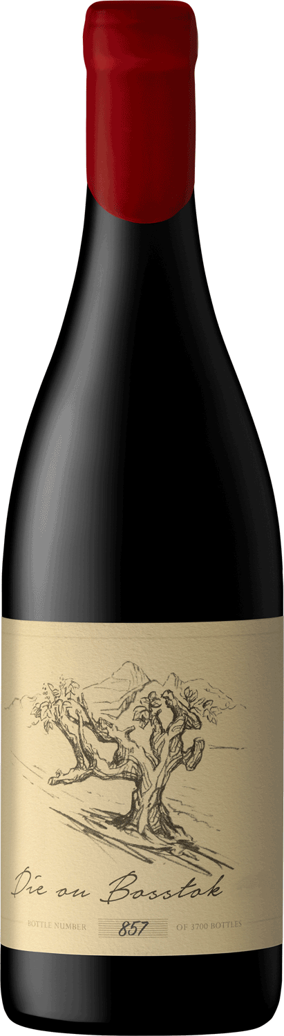 Anthonij Rupert Die Ou Bosstok Cinsault 2024