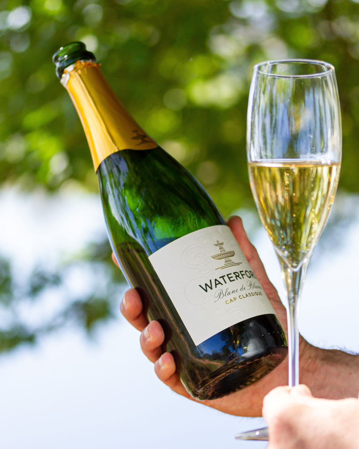 Eine Person hält eine Flasche Waterford-Sekt mit der Aufschrift Blanc de Blancs Cap Classique neben einer gefüllten Champagnerflöte, mit einem unscharfen grünen Hintergrund im Freien.