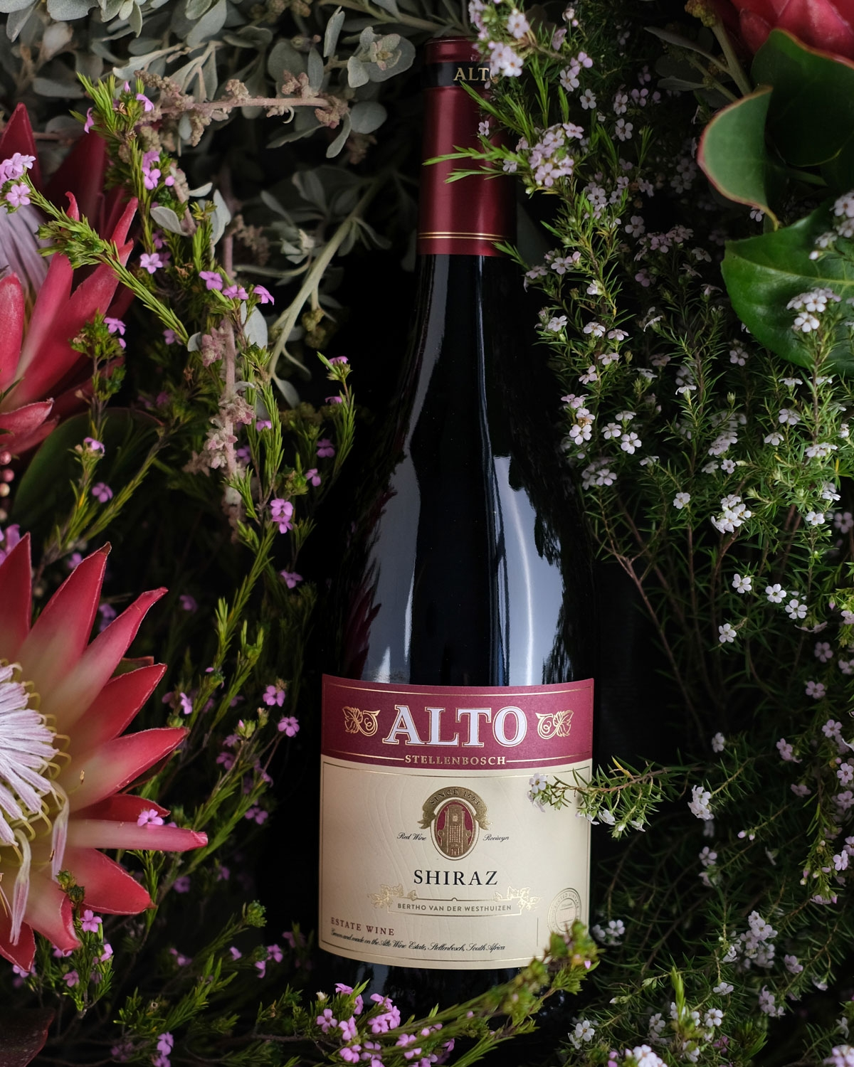 Eine Flasche Alto Shiraz Rotwein aus Stellenbosch mit einem kastanienbraunen und goldenen Etikett mit dem Namen des Weins, Angaben zum Weingut und einer Abbildung eines Gebäudes auf der Vorderseite.
