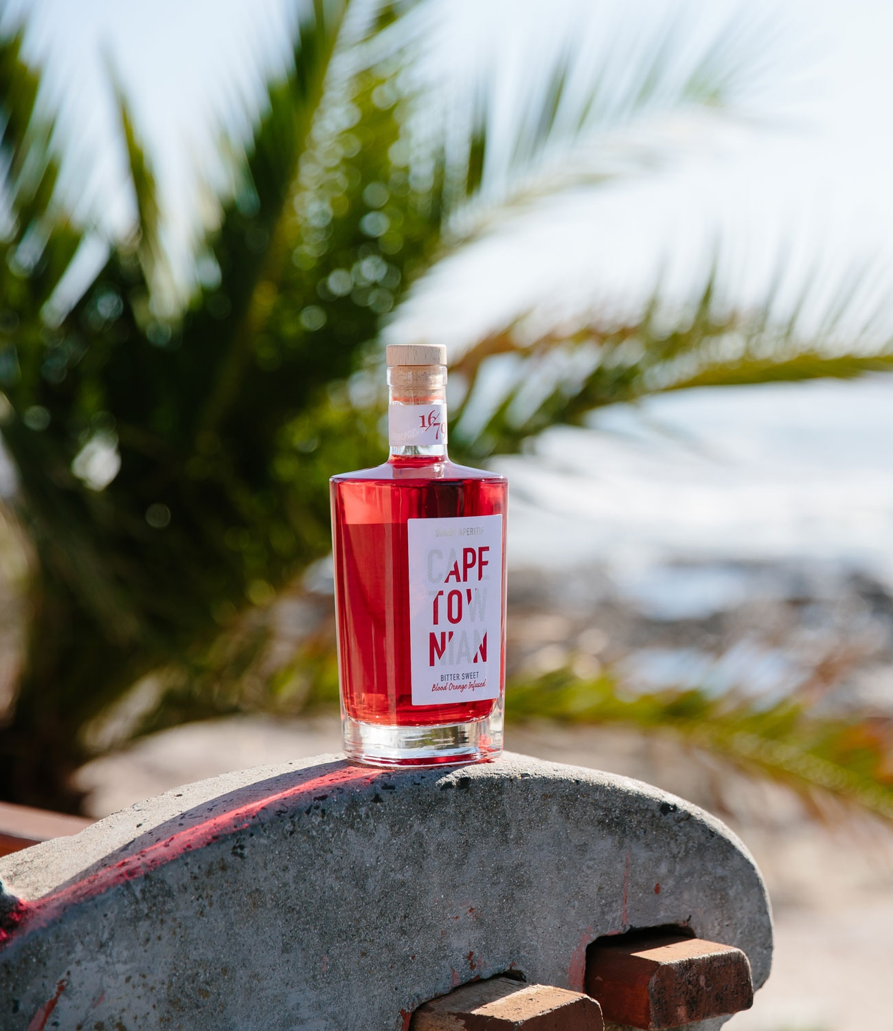 CAPETOWNIAN Spirit Aperitif 🍹 Gin trifft Blutorange
