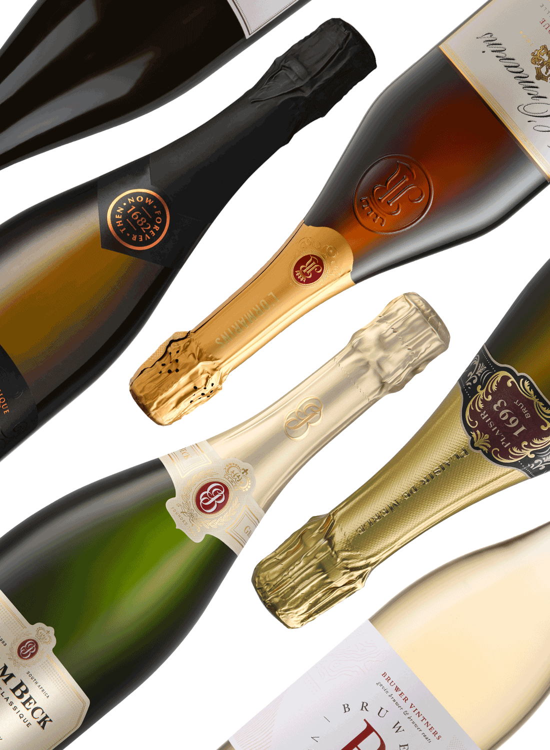 Best of Bubbly 🥂 Schaumweinpaket