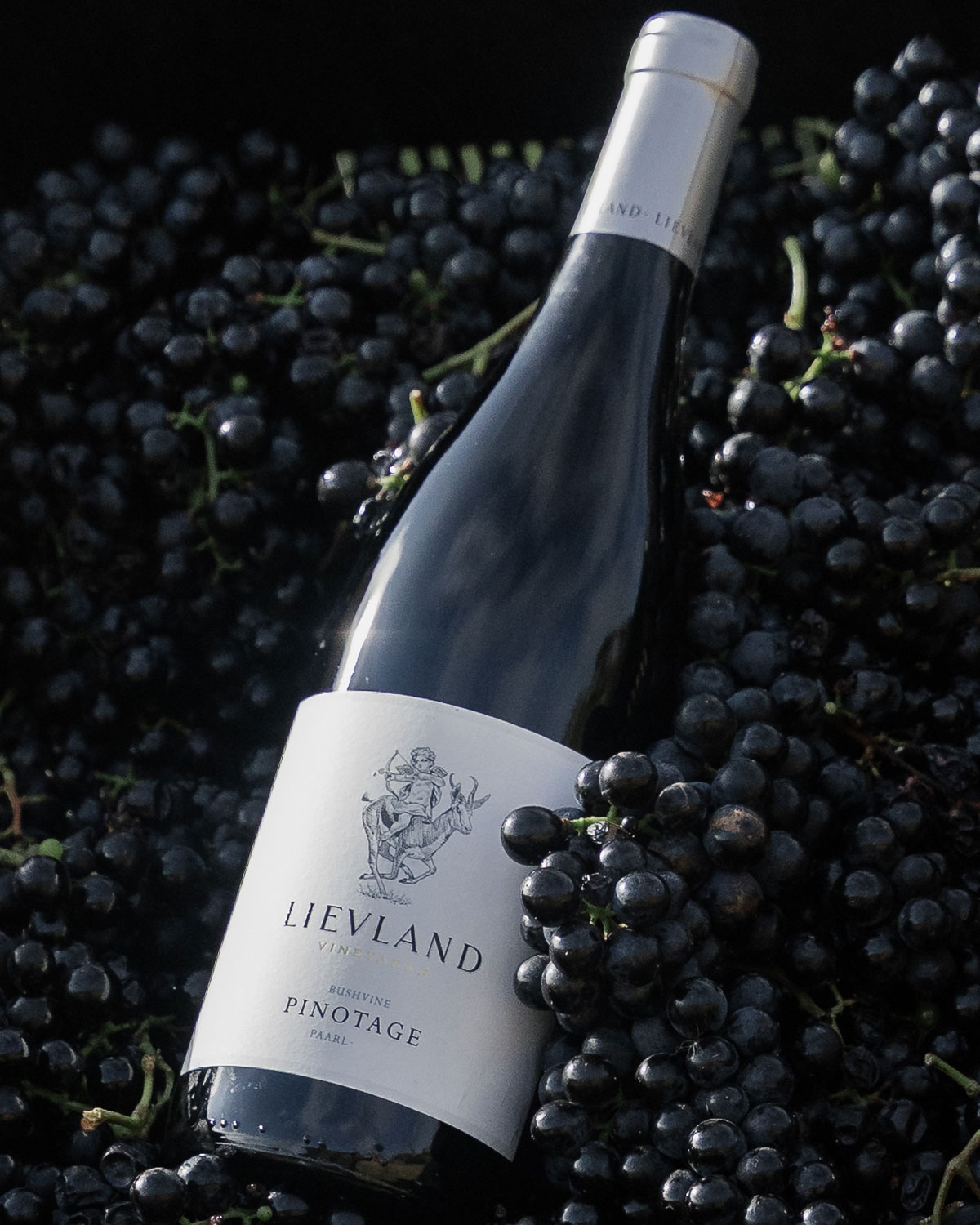 Lievland Bushvine Pinotage 2023
