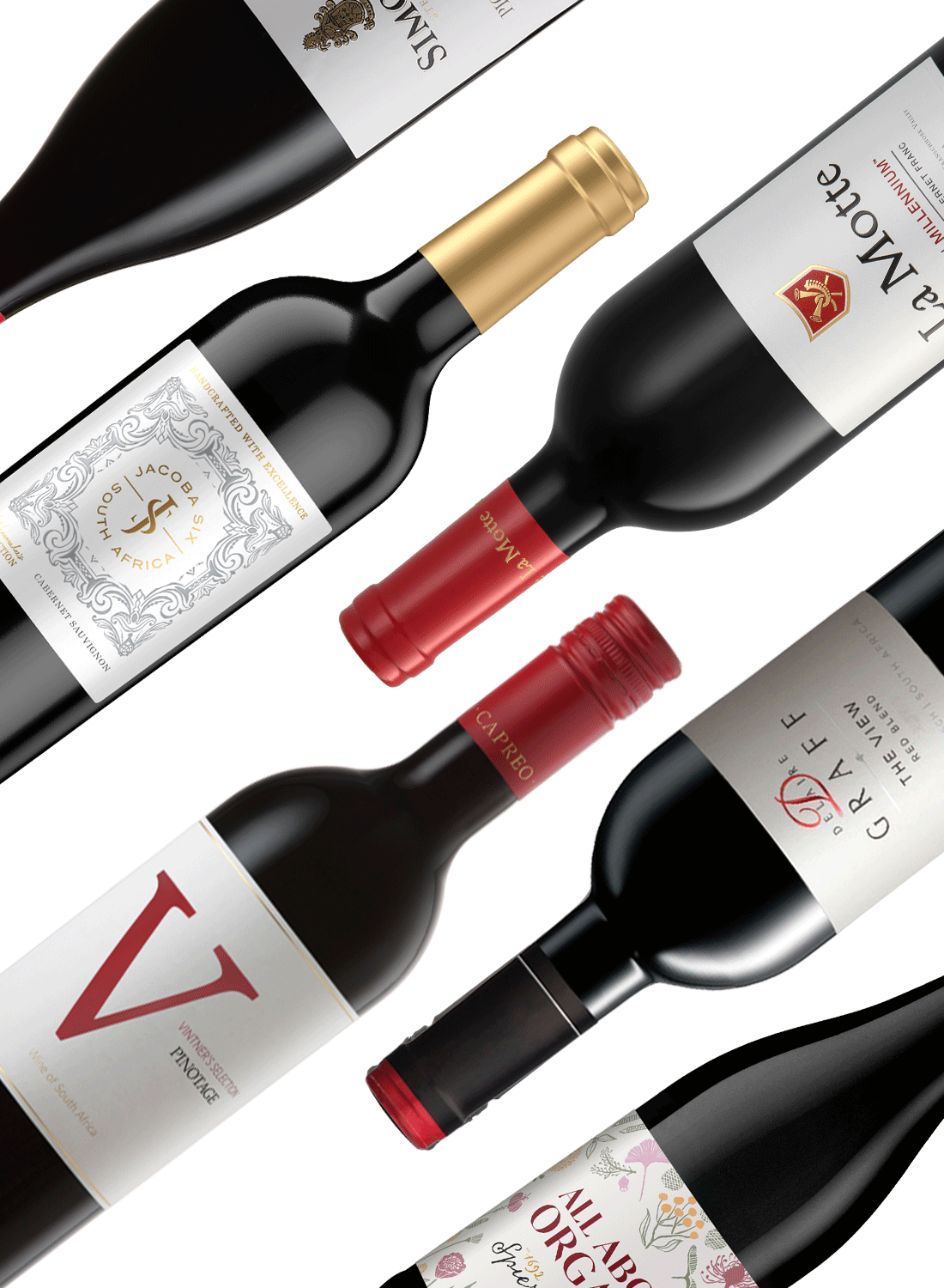 Best of Reds 🍷 Rotweinpaket