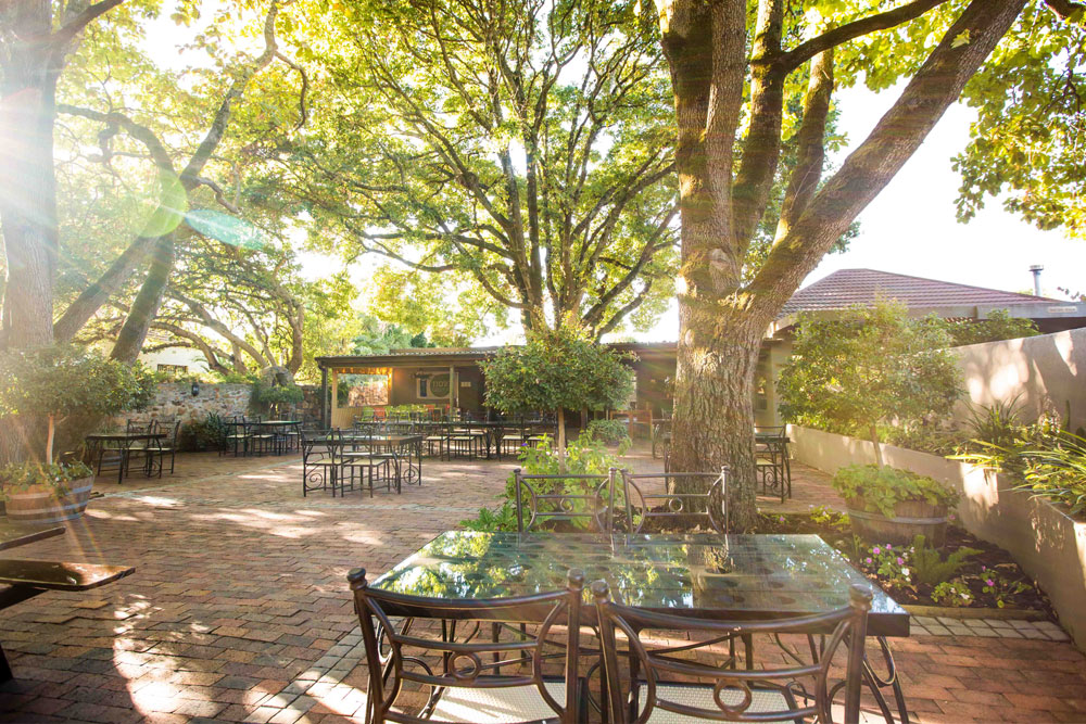 Sonnendurchflutete Außenterrasse mit Glastischen und Metallstühlen auf einem Ziegelsteinboden, umgeben von Bäumen und Grünpflanzen. Die Sonnenstrahlen dringen durch die Äste und schaffen eine helle und einladende Atmosphäre.