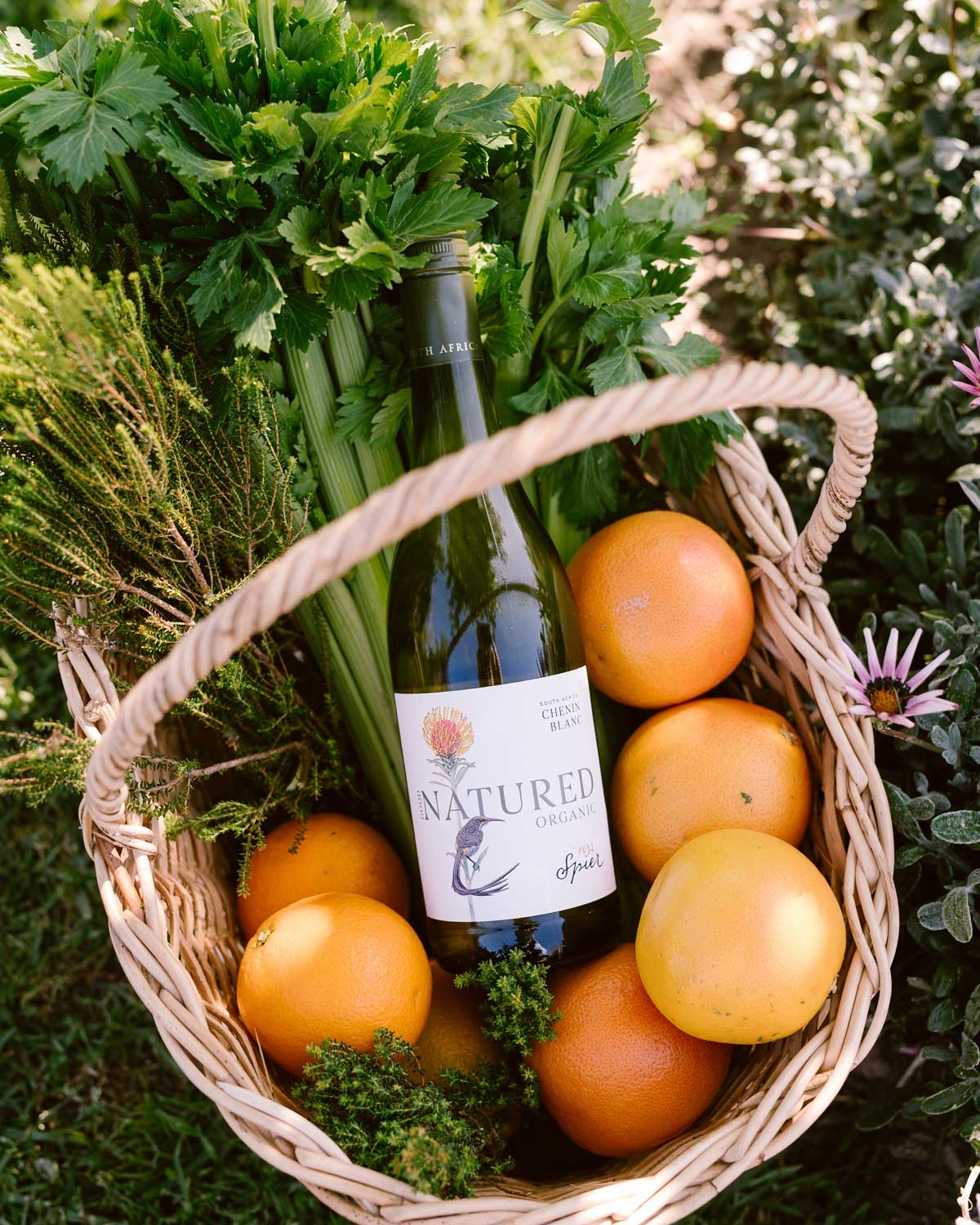 Eine Flasche Spier NATURED Bio-Chenin Blanc mit einem blumigen Etikett, daneben ein grünes EU-Bio-Zertifizierungslogo mit der Aufschrift Wein aus Nicht-EU-Landwirtschaft in Englisch und Deutsch.