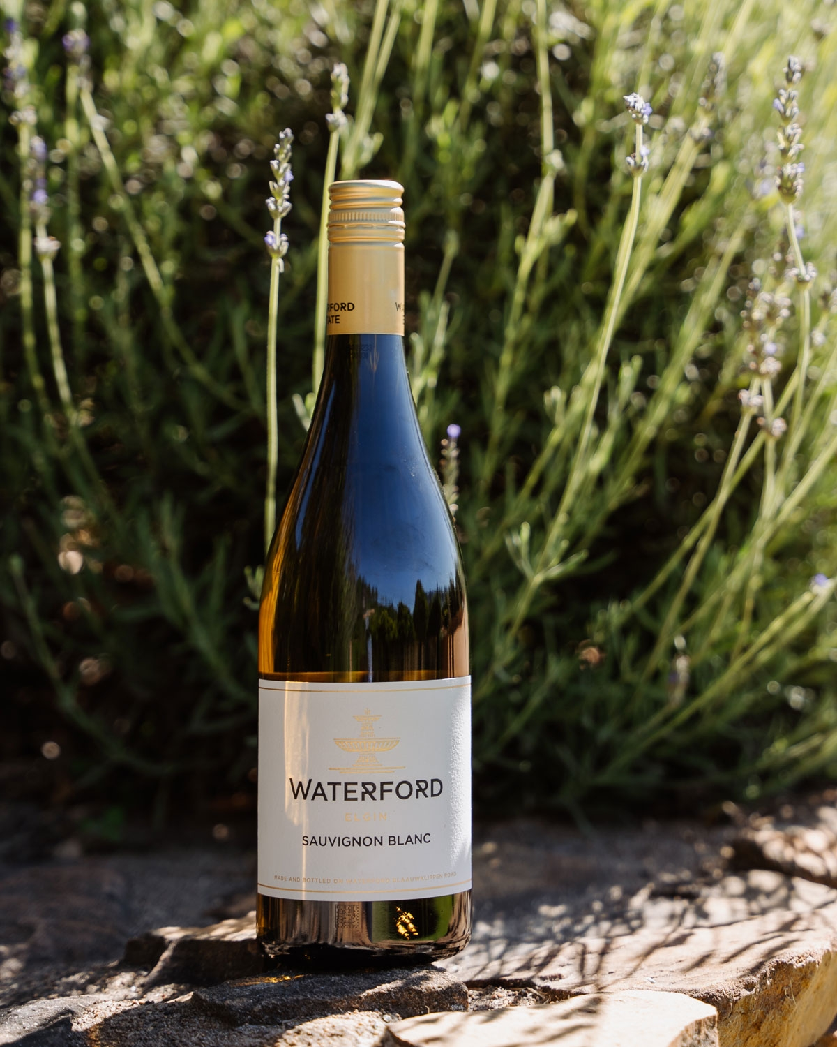 Eine Flasche Waterford Sauvignon Blanc steht auf einer Steinfläche im Freien, mit grünen Blattpflanzen und Sonnenlicht im Hintergrund.