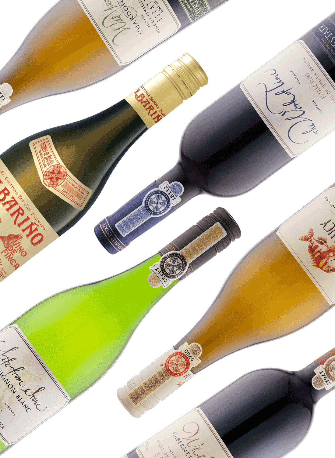 Taste of Springfield ✨