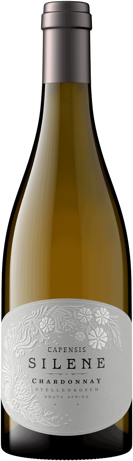Eine Flasche Silene Chardonnay Wein mit einem silbernen Folienverschluss und einem geprägten weißen Etikett mit floralen Motiven und schwarzem Text, das angibt, dass er aus Stellenbosch, Südafrika, stammt.