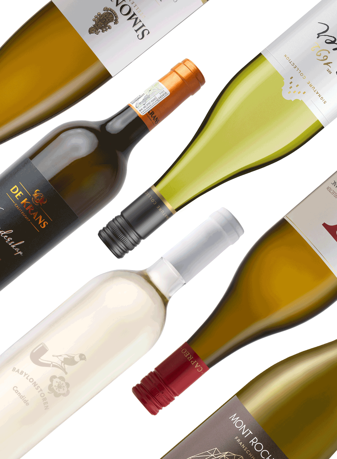 Best of Whites 🥂 Weißweinpaket