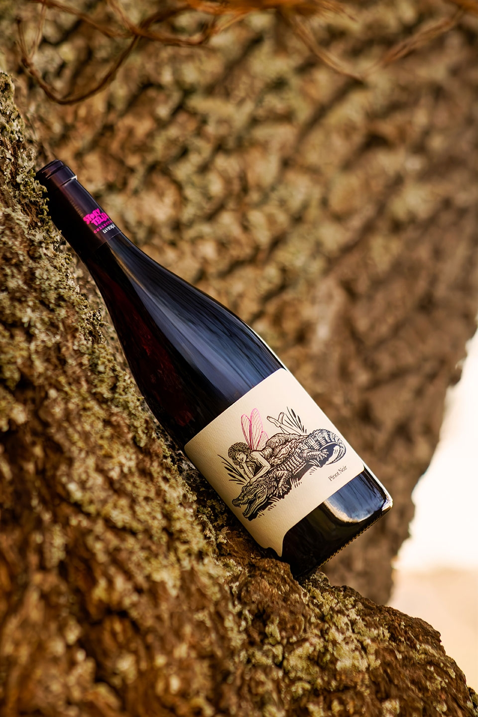 La Vierge Story Teller Pinot Noir 2023 (The Fairy & The Crocodile)