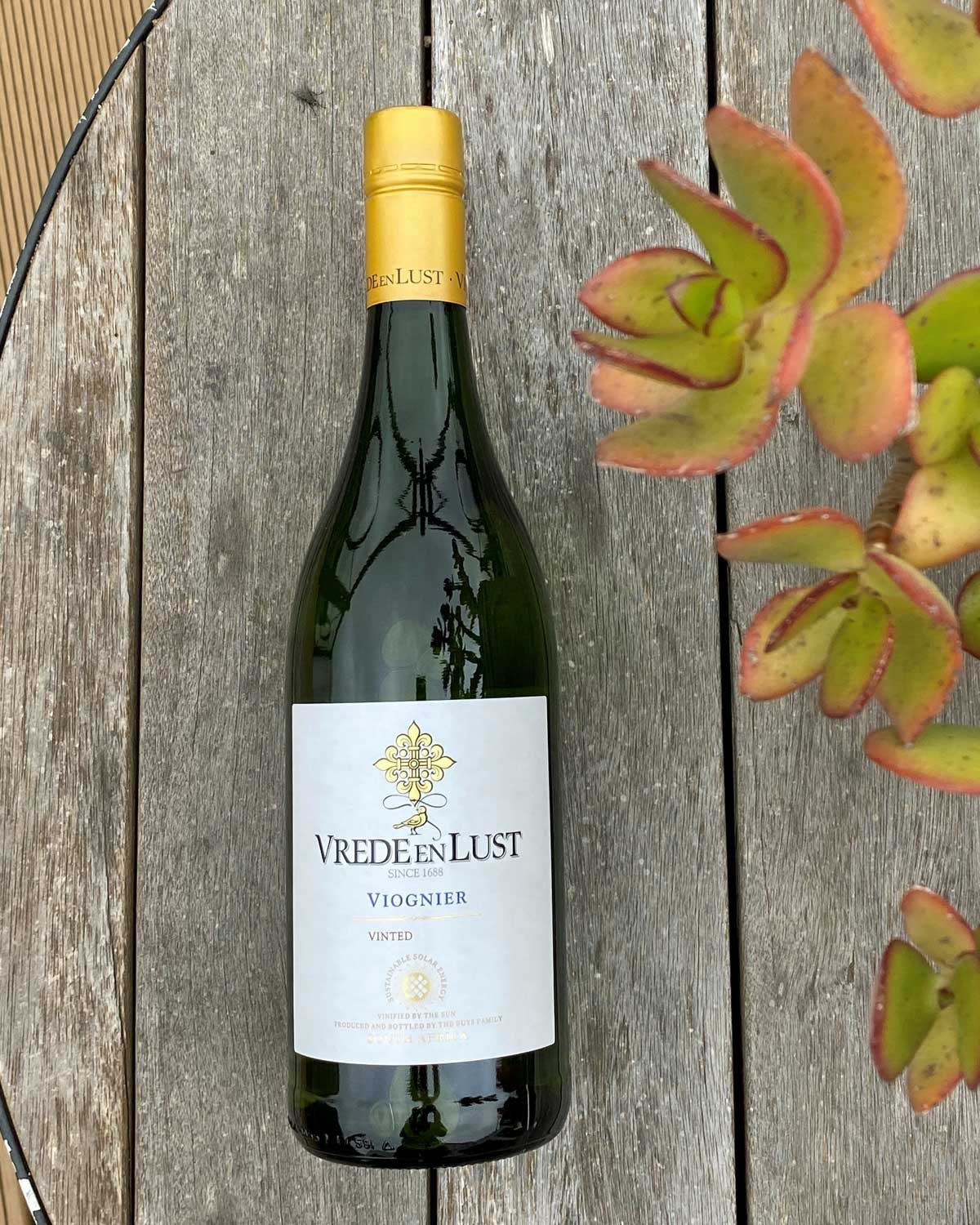 Eine Flasche Vrede en Lust Viognier Weißwein mit goldenem Verschluss, cremefarbenem und goldenem Etikett und blauem Text. Die Flasche steht aufrecht auf einem schlichten, hellen Hintergrund.