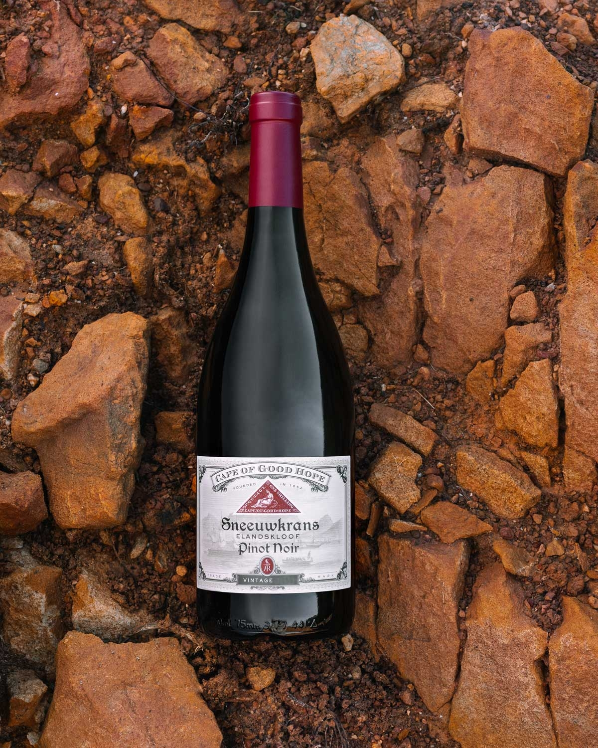 Anthonij Rupert Cape of Good Hope Sneeuwkans Pinot Noir 2021