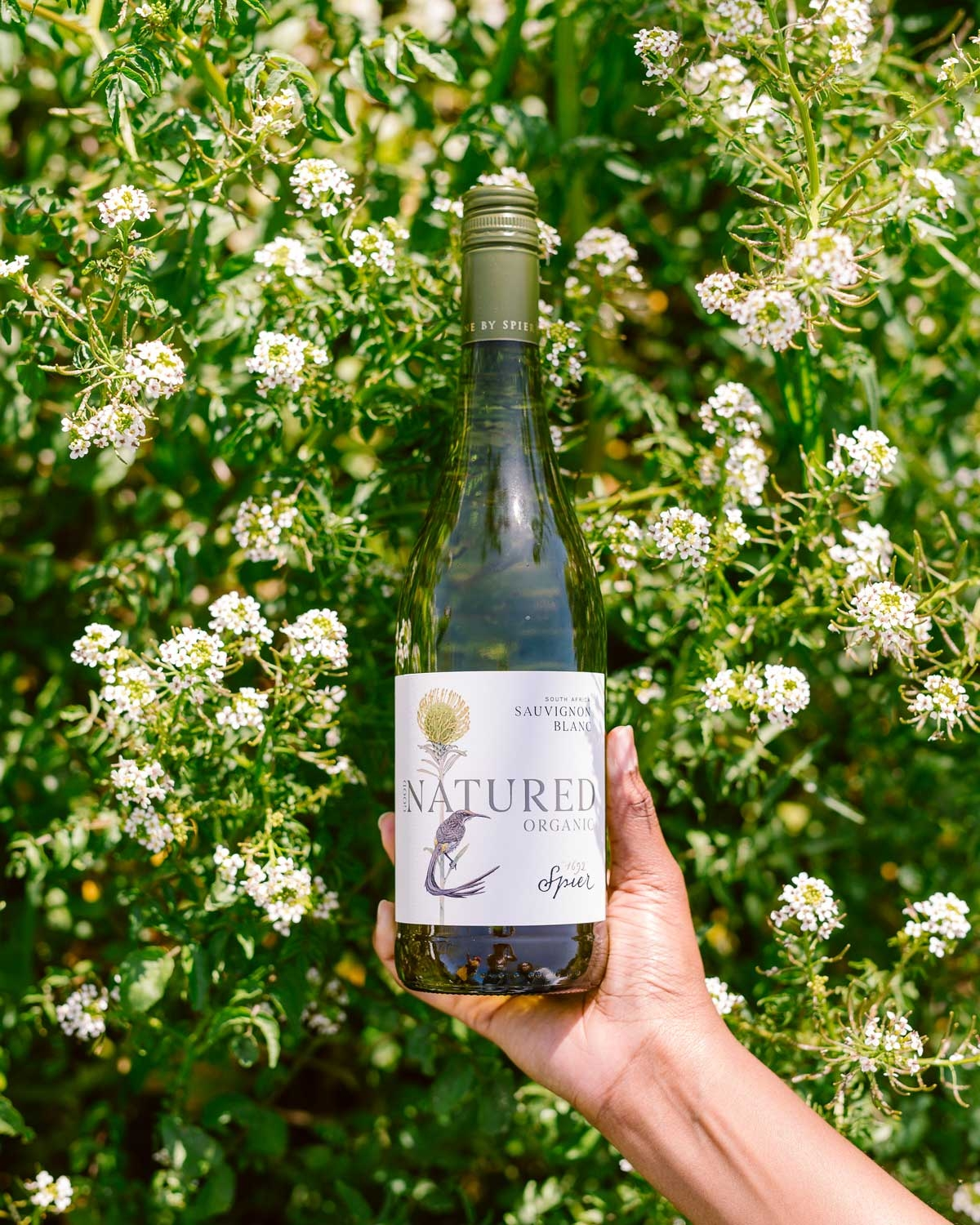 Eine Flasche Spier Natured Bio Sauvignon Blanc mit grünem Verschluss und Etikett, daneben ein grünes EU-Bio-Logo mit der Aufschrift "Wein aus Nicht-EU-Landwirtschaft" in Deutsch und Englisch.