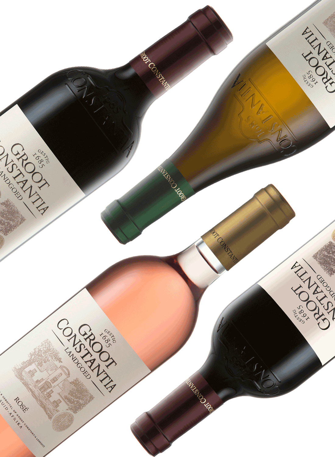 Introducing Groot Constantia Estate 🔍