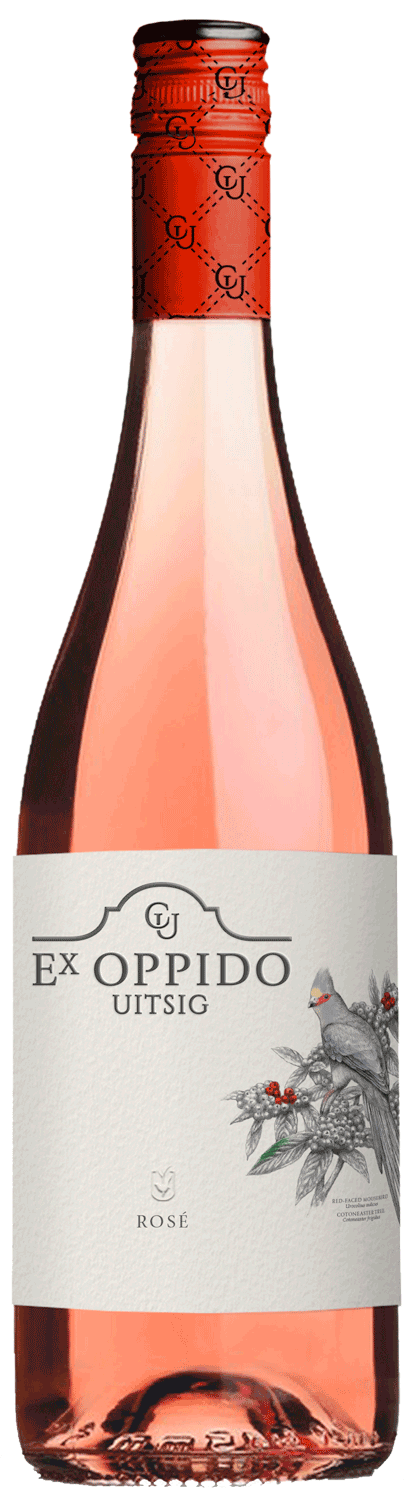 Constantia Uitsig Ex Oppido Rosé 2025