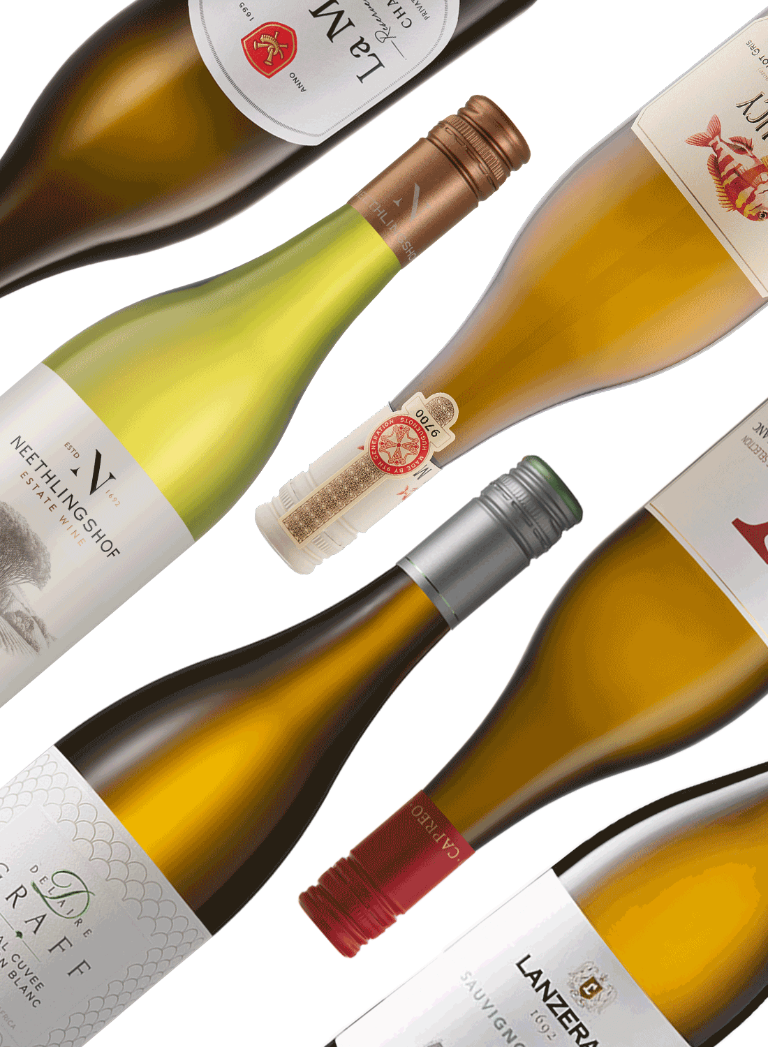 Best of Whites 🥂 Weißweinpaket
