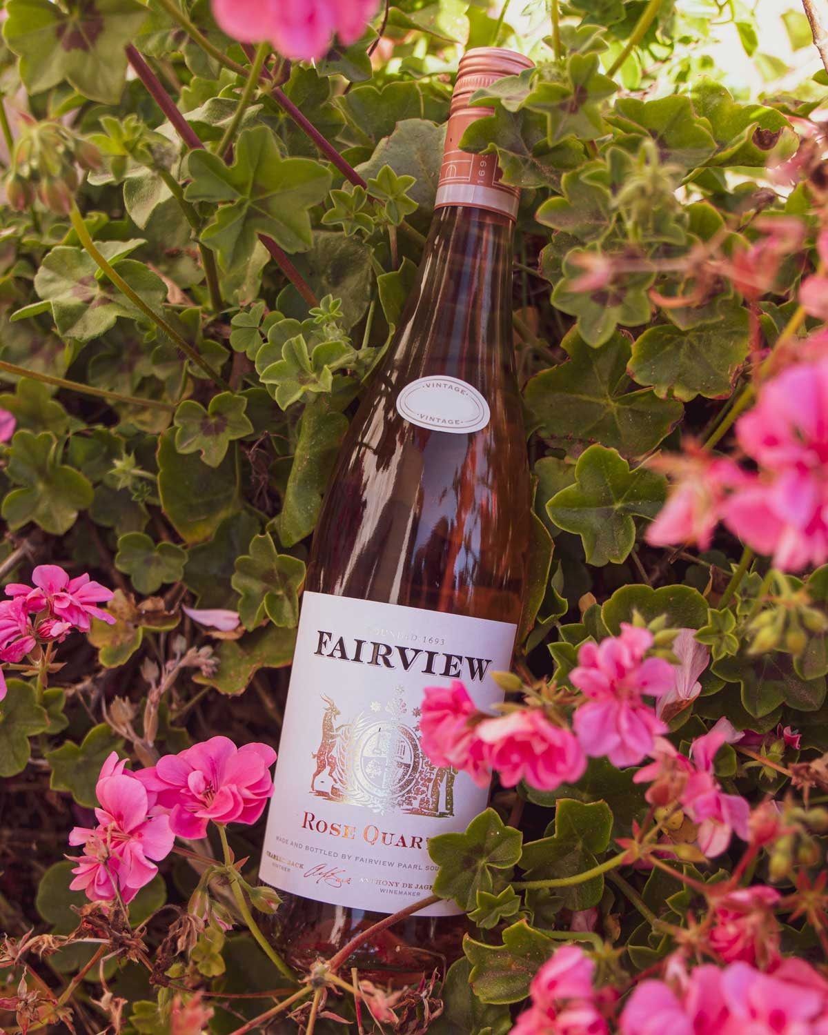 Fairview Rose Quartz 2025