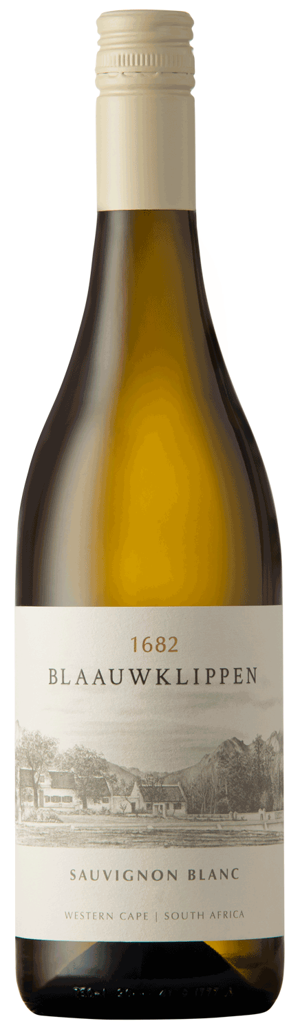 Eine Flasche Blaauwklippen 1682 Sauvignon Blanc aus dem Westkap, Südafrika, mit einem beigen Etikett, auf dem ein Weinberg mit Bergen im Hintergrund abgebildet ist.