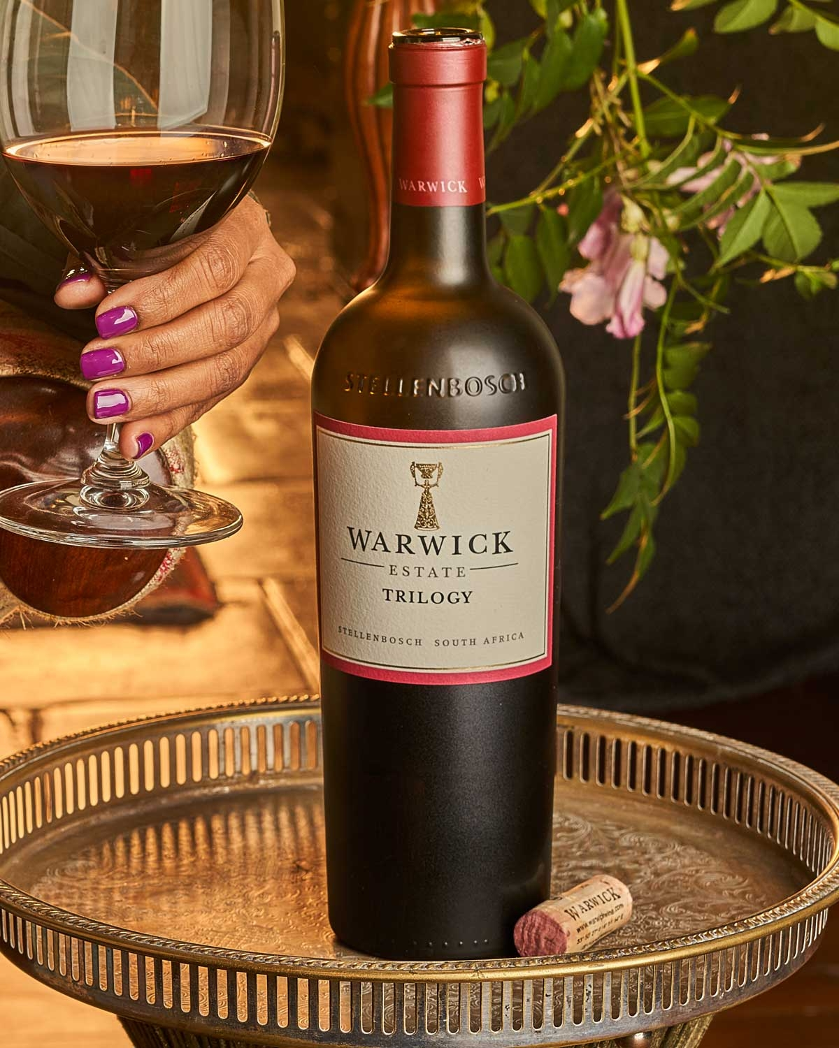 Eine Flasche Warwick Trilogy Rotwein aus Stellenbosch mit einem weißen Etikett mit goldenen und kastanienbraunen Akzenten und einer kastanienbraunen Folienkapsel am Hals.