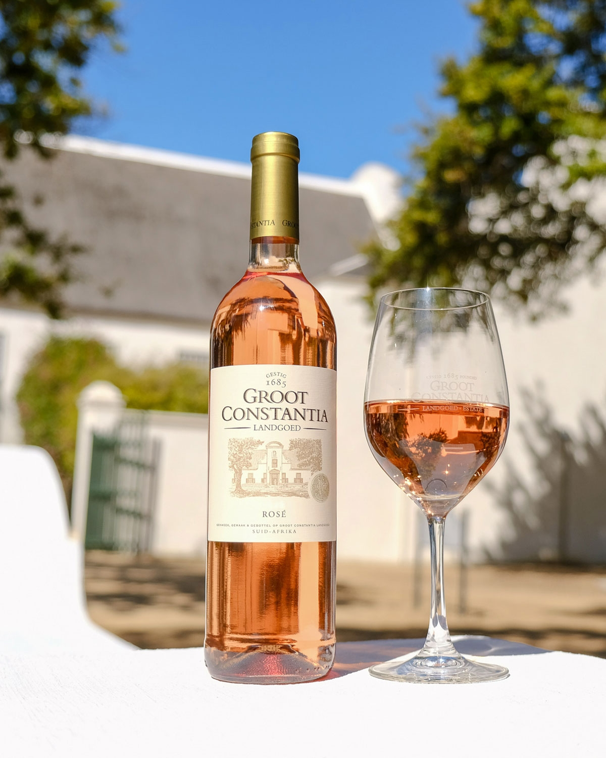 Wein des Monats August: Groot Constantia Rosé 2025 ✨ Buy 5 get 6