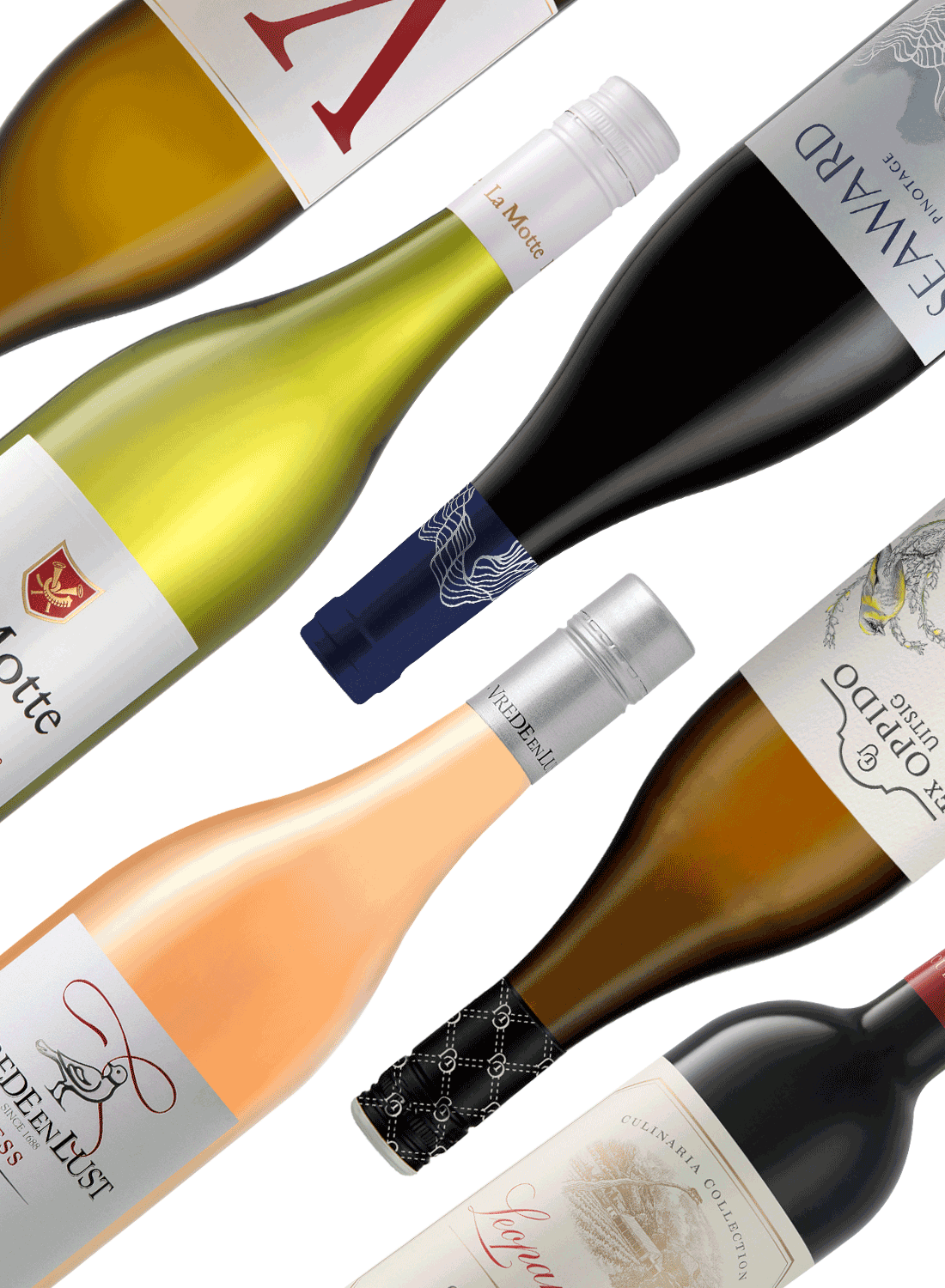 Südafrika Entdeckerpaket Classic 🌄