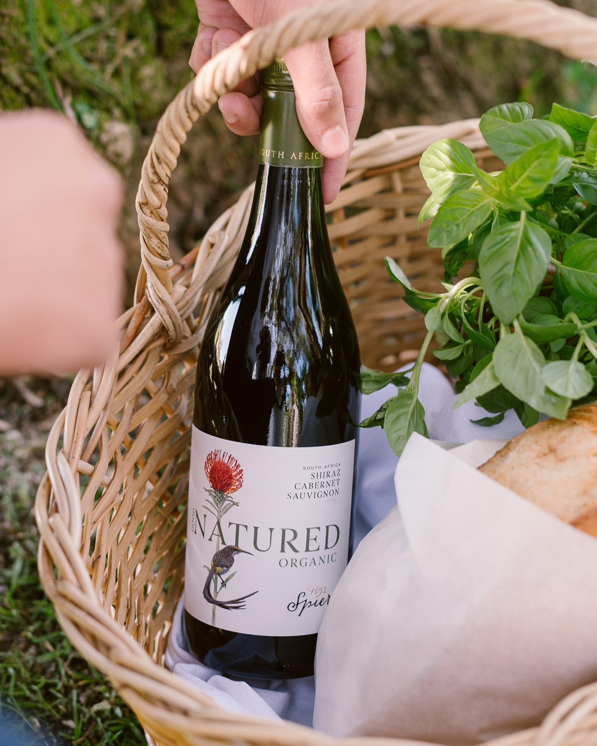 Eine Hand stellt eine Flasche Bio-Cabernet Sauvignon-Wein mit der Aufschrift NATURED in einen Picknickkorb mit frischem Basilikum und einem Laib Brot.