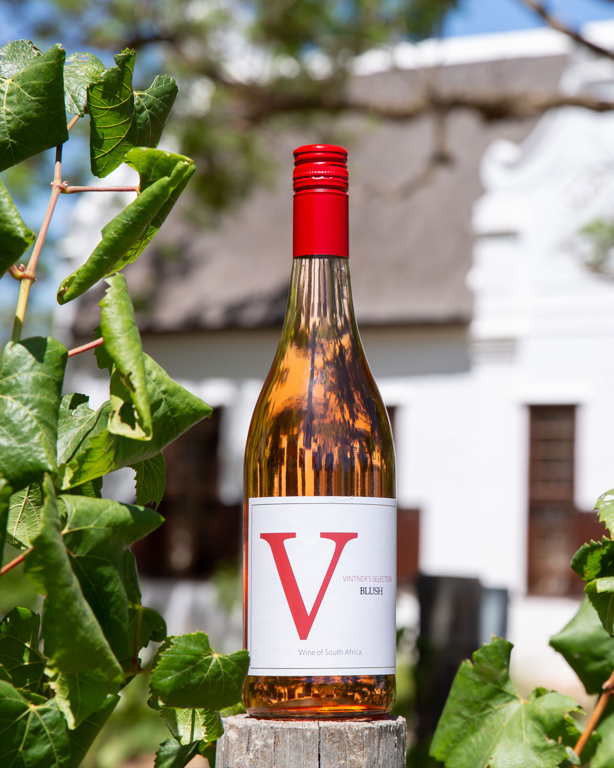 Eine Flasche Rotwein mit rotem Verschluss und großem rotem V auf dem Etikett steht auf einem Holzpfosten inmitten grüner Weinreben, mit einem weißen Gebäude und blauem Himmel im verschwommenen Hintergrund.