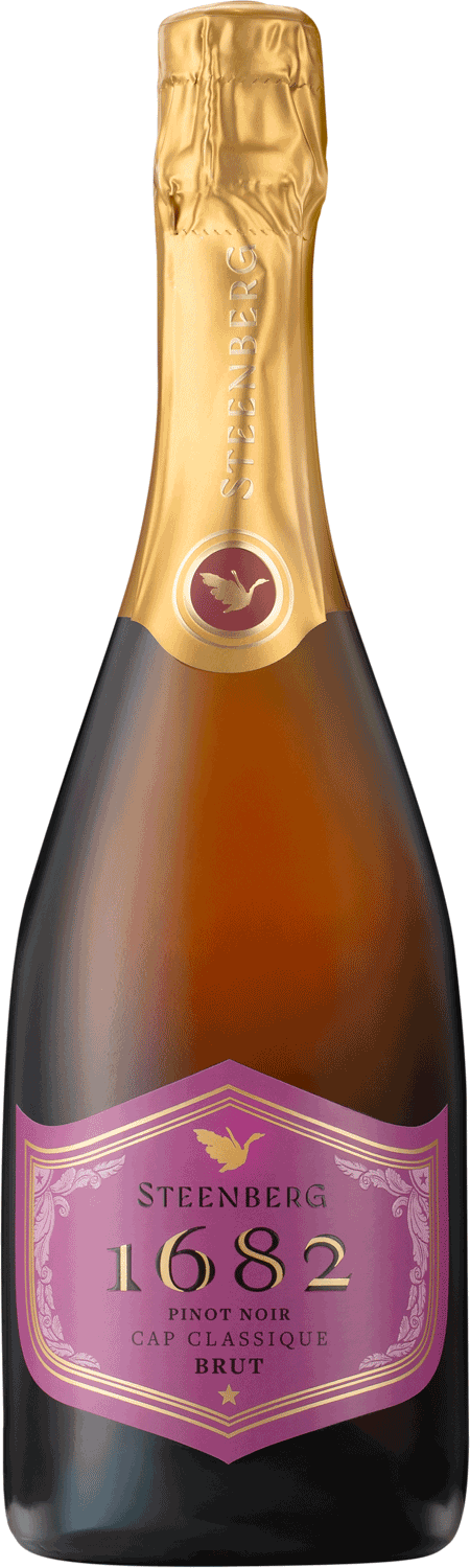 Steenberg 1682 Pinot Noir Cap Classique n/v
