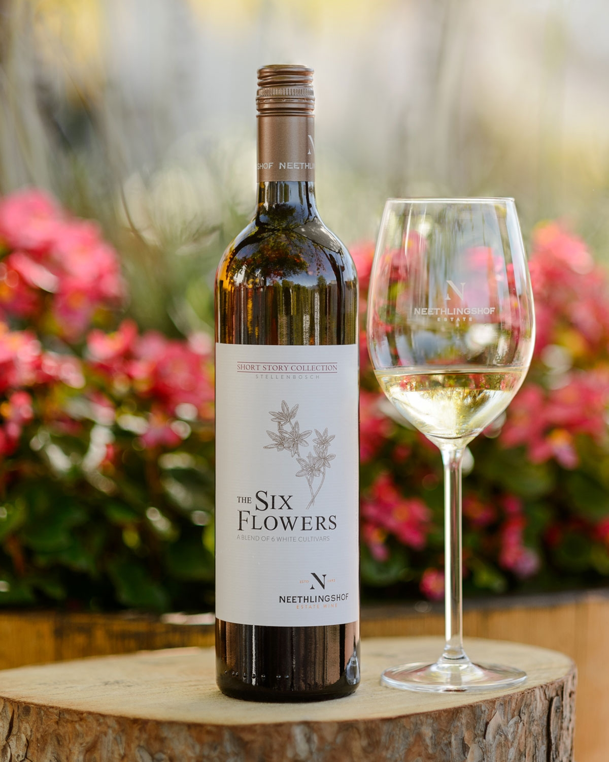 Neethlingshof Short Story Collection First Flower Chenin Blanc 2025