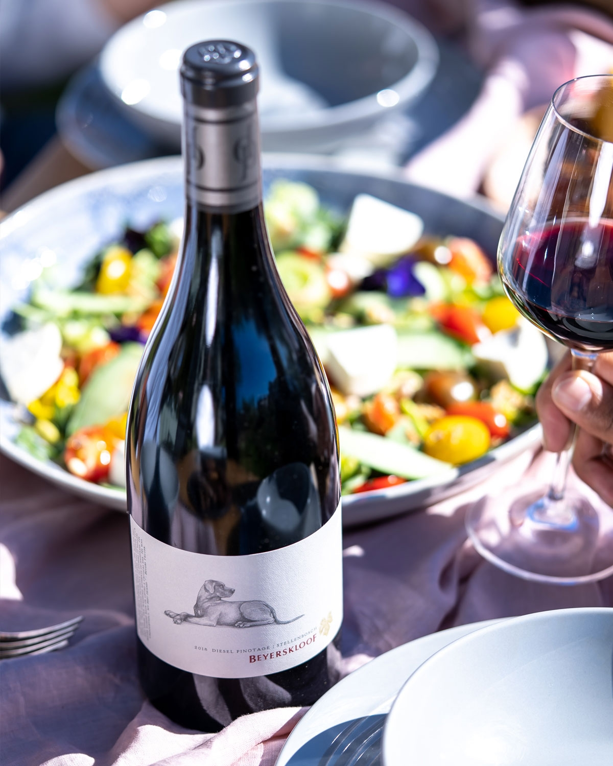 Beyerskloof Diesel Pinotage 2023