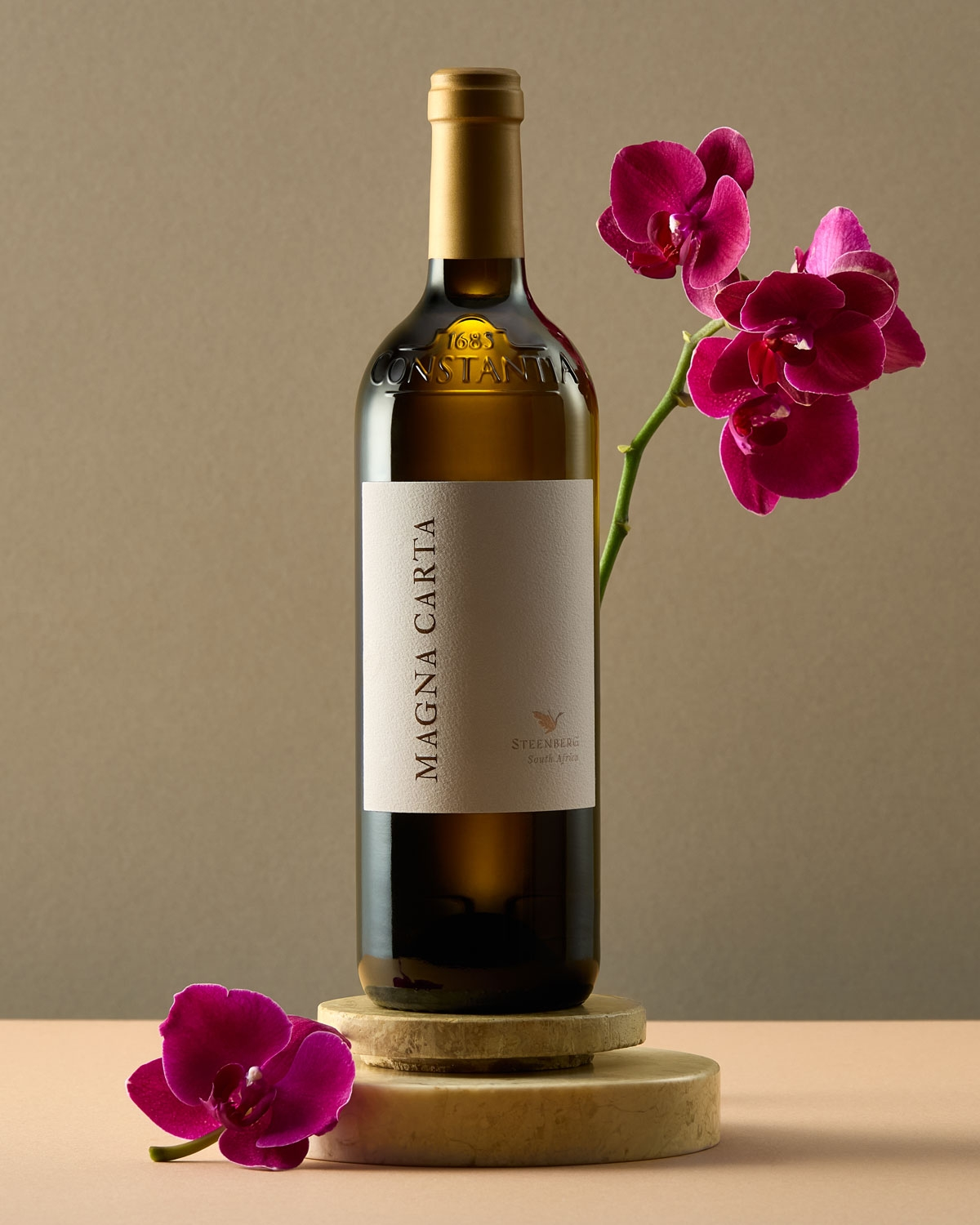 Steenberg Icon Range Magna Carta 2023