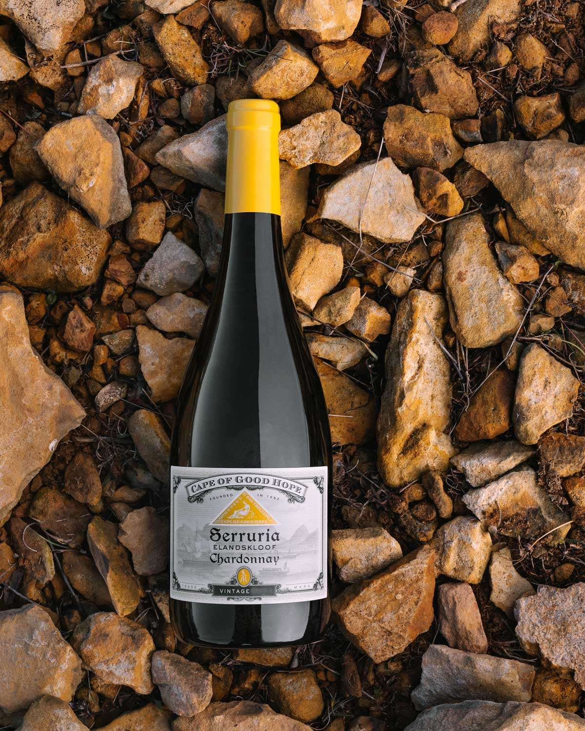 Eine Flasche Serruria Chardonnay-Wein vom Kap der Guten Hoffnung mit gelbem Verschluss liegt inmitten großer, schroffer brauner und hellbrauner Felsen. Das Weinetikett ist deutlich sichtbar, und die Umgebung wirkt natürlich und rustikal.