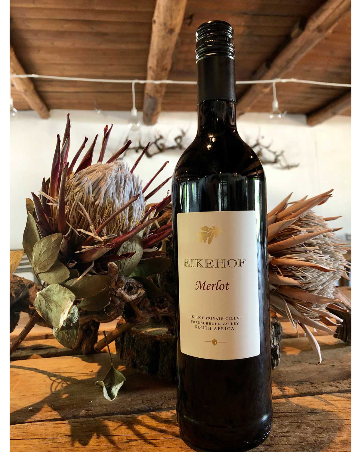 Eine Flasche EIKHOF Merlot-Wein mit einem cremefarbenen Etikett mit Blattgold-Logo. Das Etikett weist darauf hin, dass er aus dem Eikhof Private Cellar in Franschhoek, Südafrika, stammt. Die Flasche hat eine schwarze Kappe.
