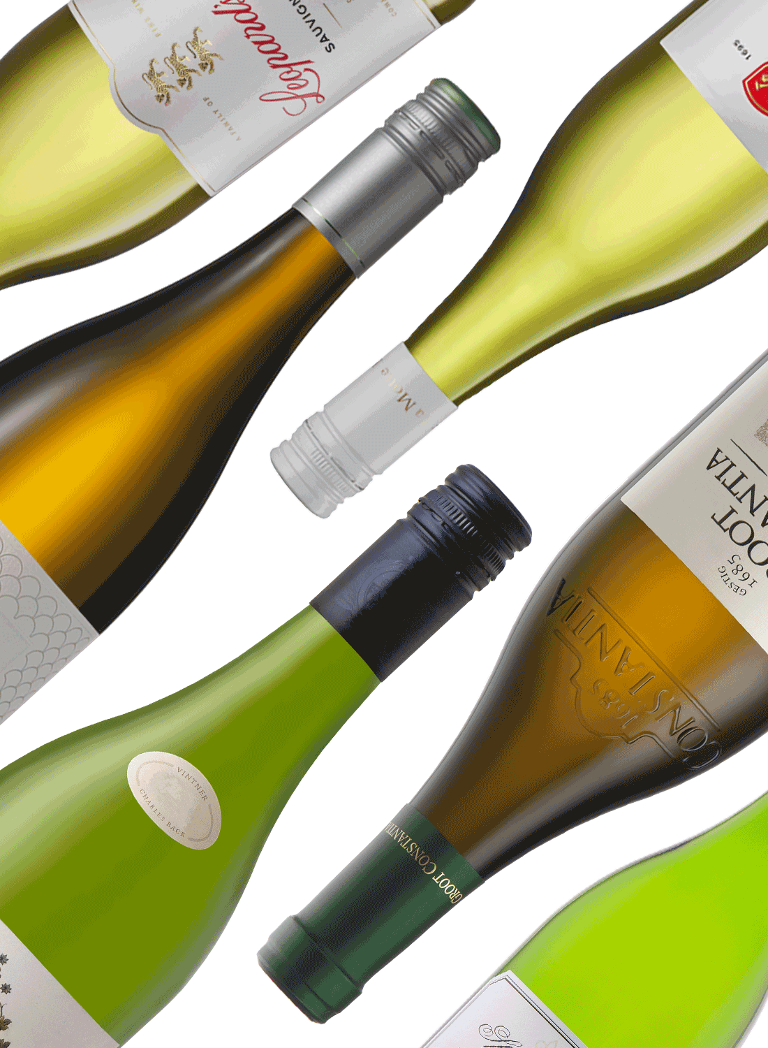 Best of Sauvignon Blanc 🍋