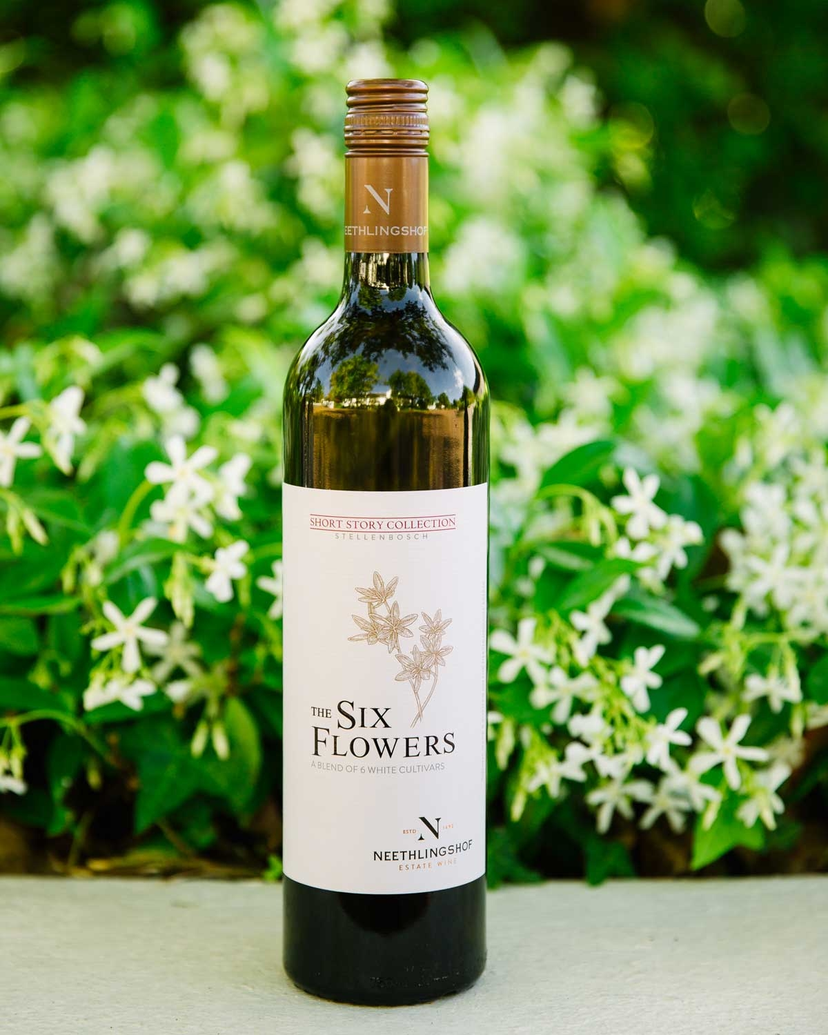 Neethlingshof Short Story Collection First Flower Chenin Blanc 2025