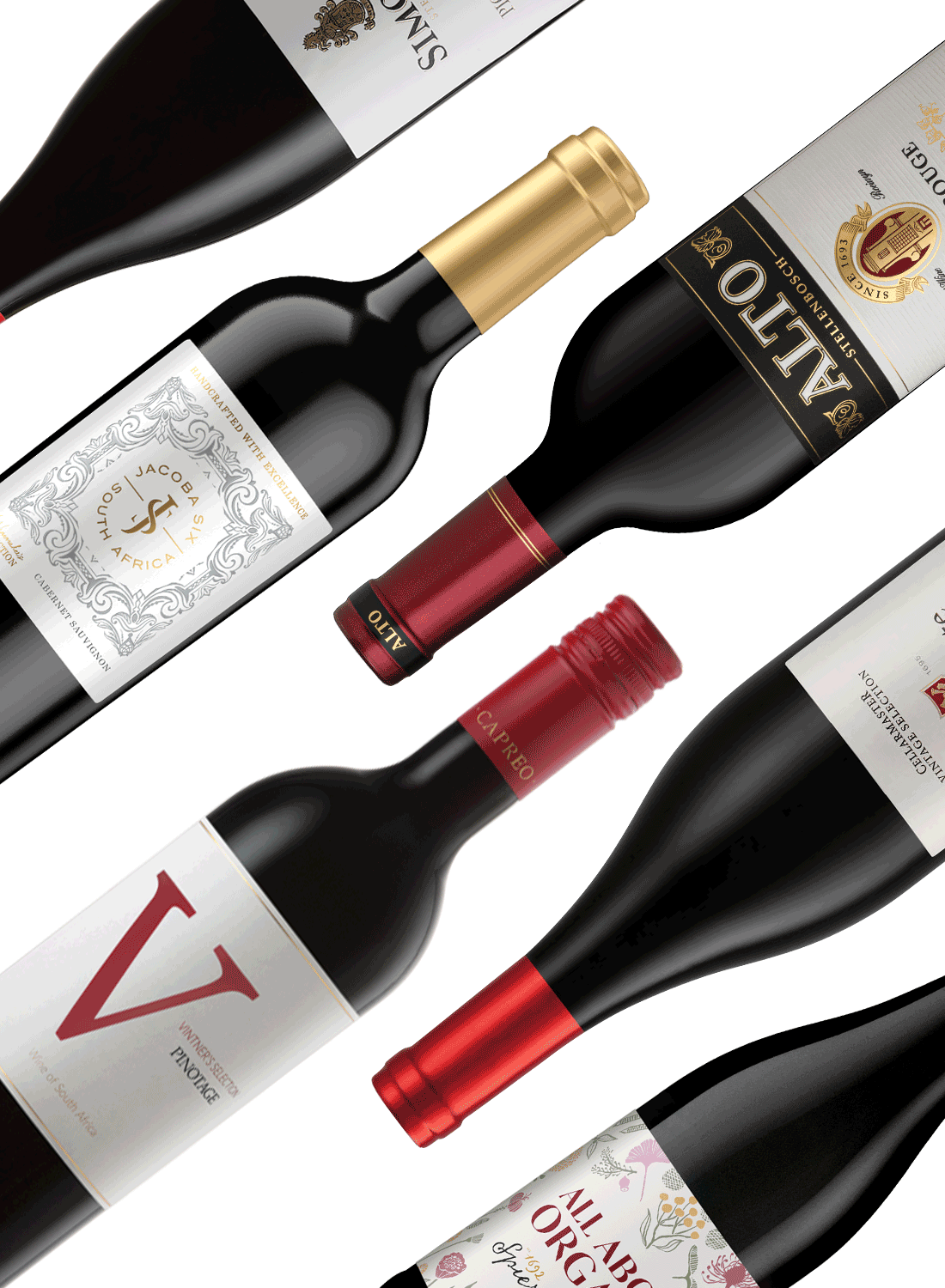 Best of Reds 🍷 Rotweinpaket