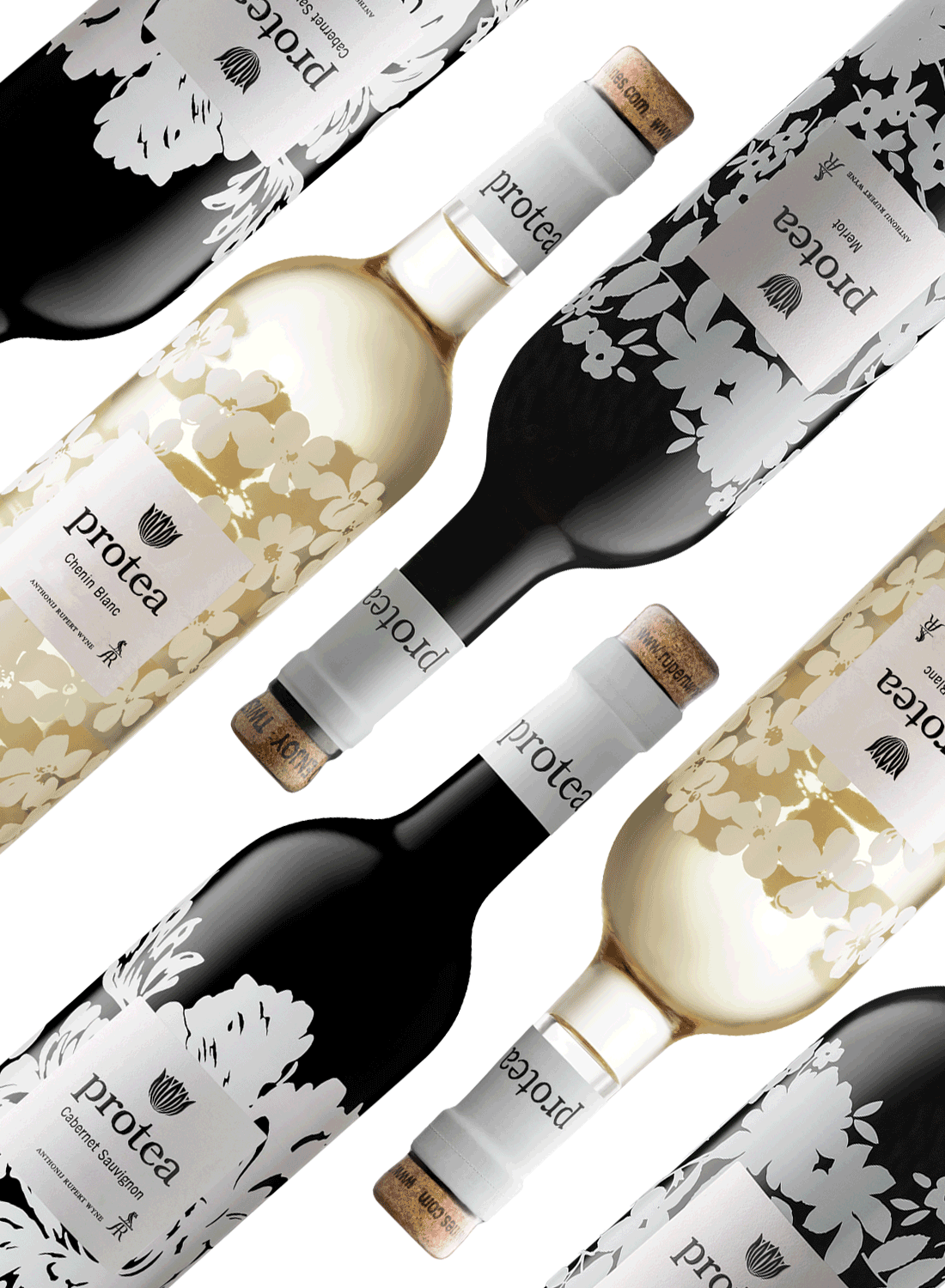 Anthonij Rupert Protea Range 💥 Aktionspaket