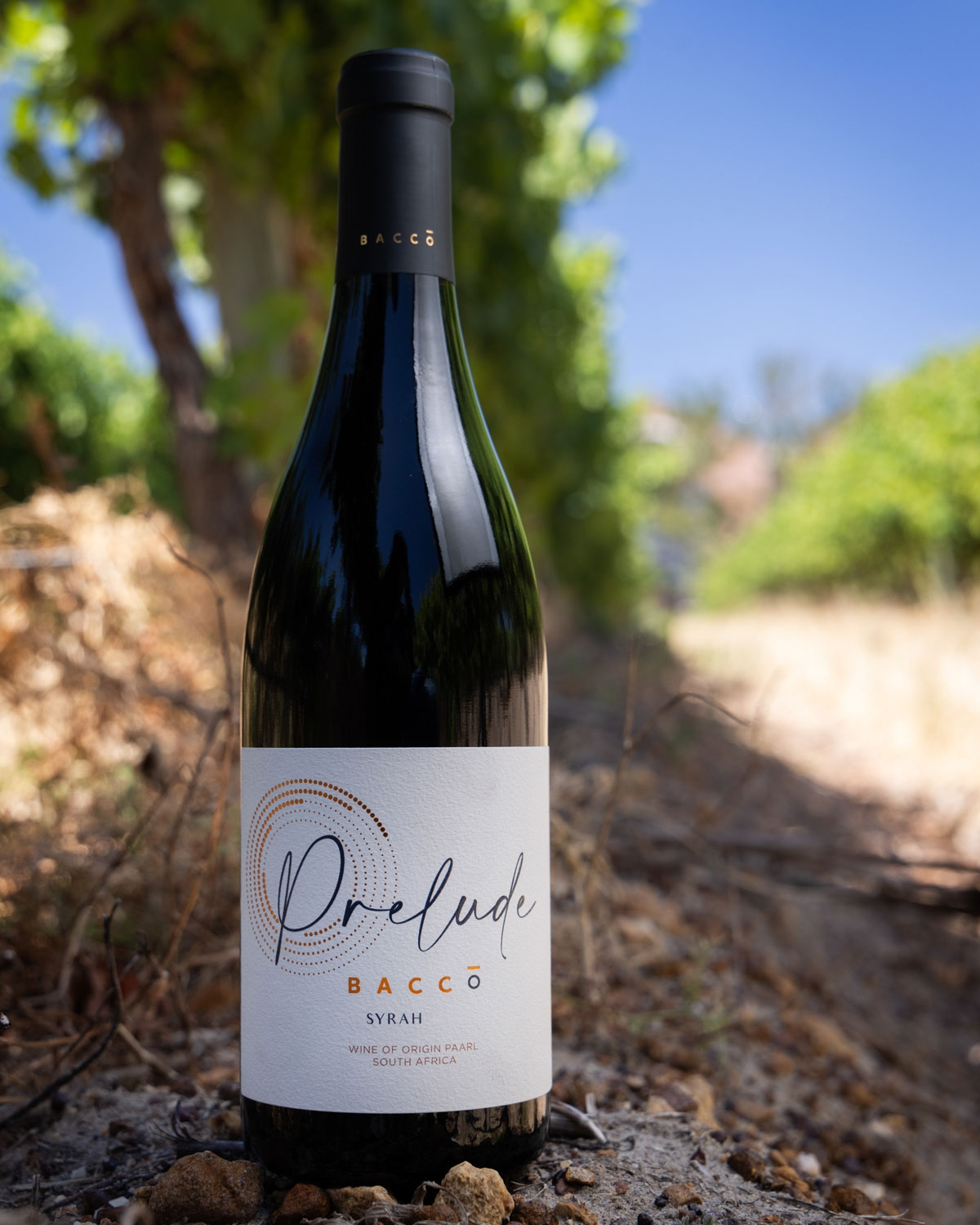 Bacco Prelude Syrah 2021