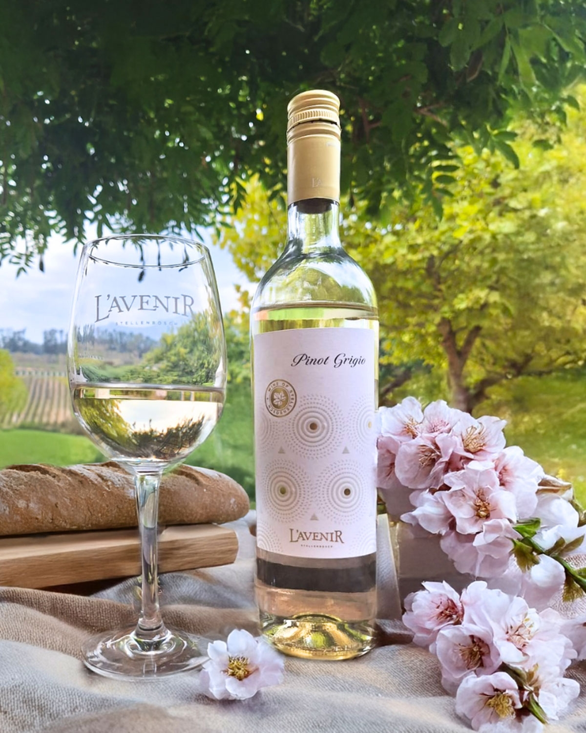 L´Avenir Pinot Grigio 2025