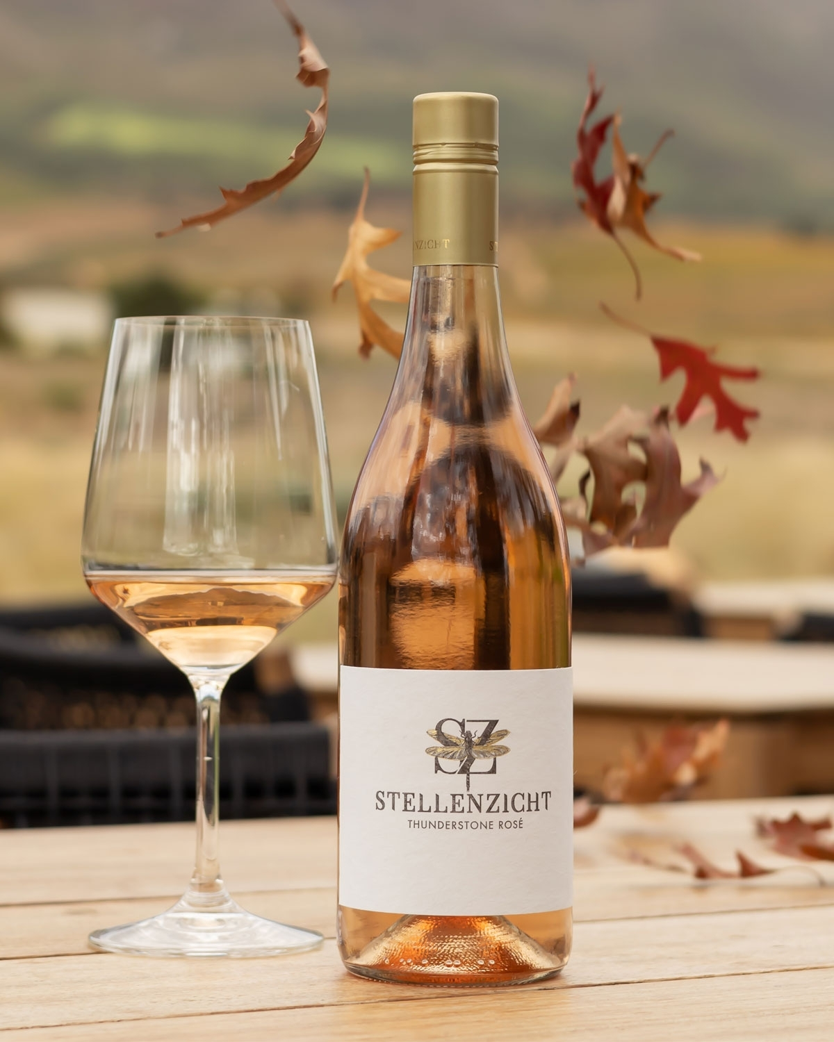 Stellenzicht Thunderstone Rose 2025